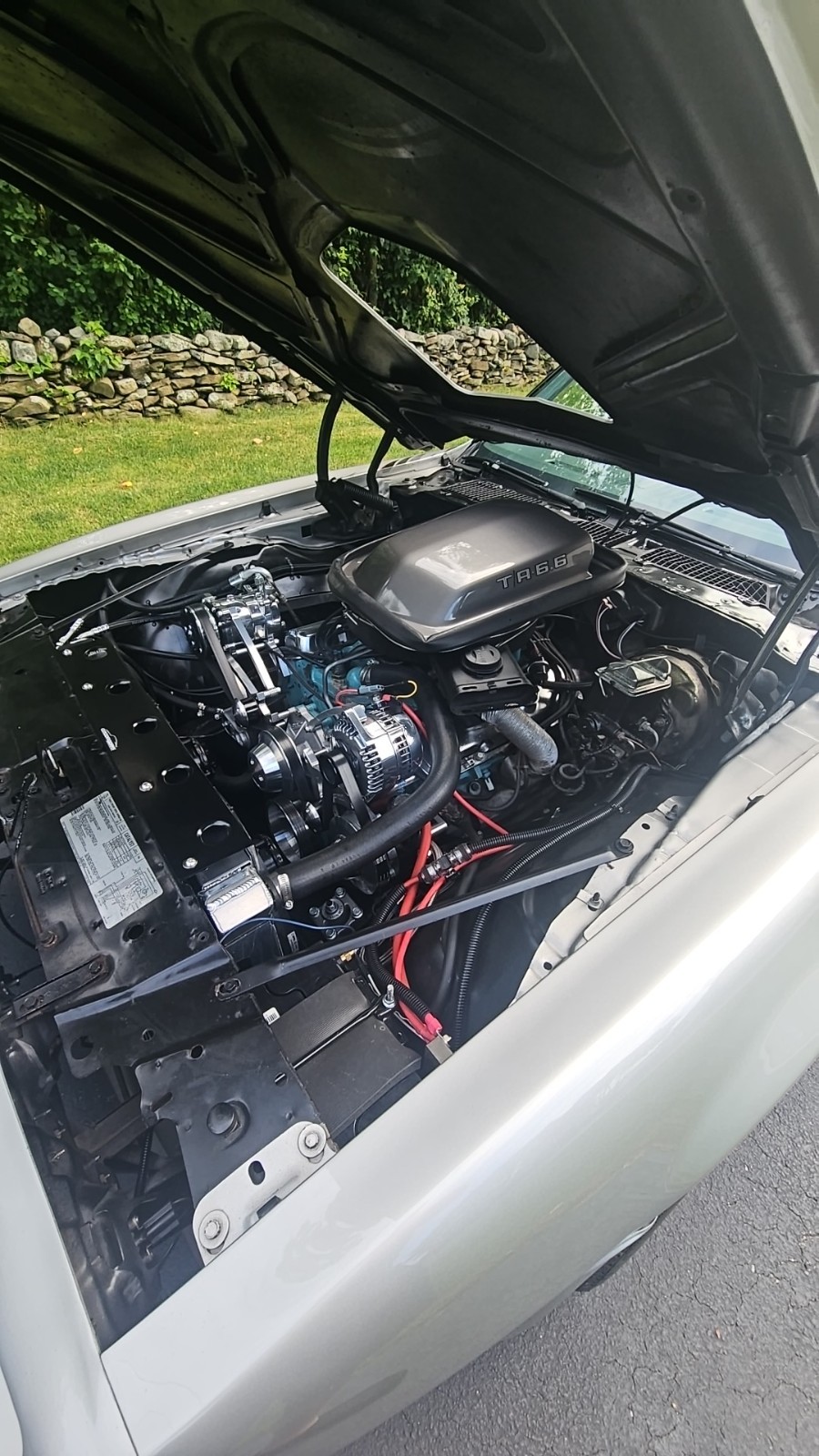 Pontiac-Trans-Am-1979-Coupe-14