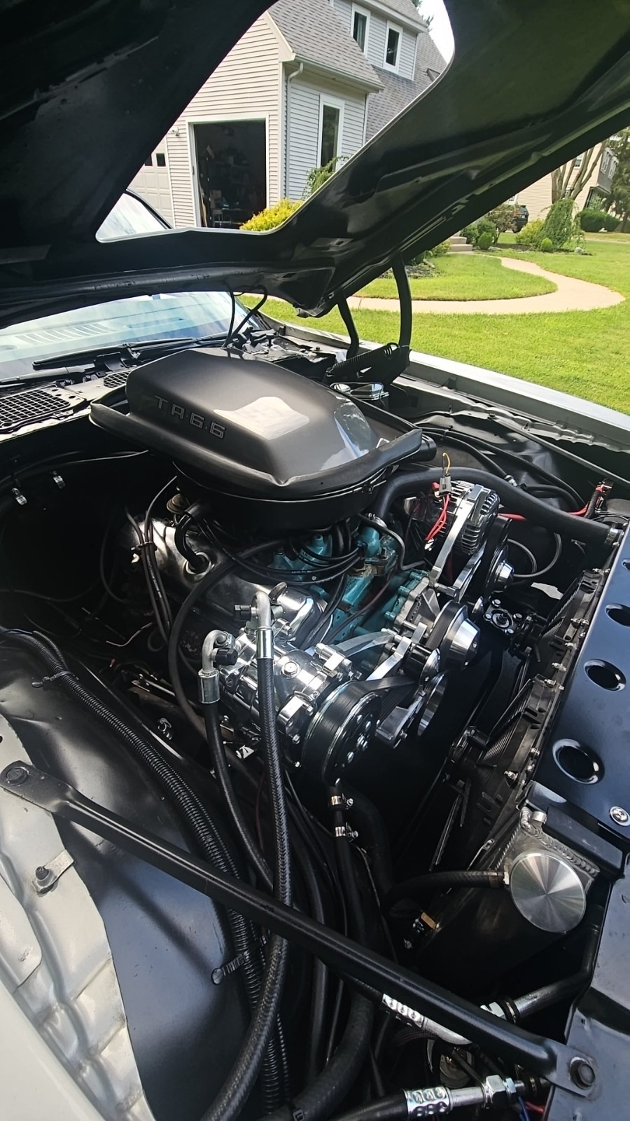 Pontiac-Trans-Am-1979-Coupe-16