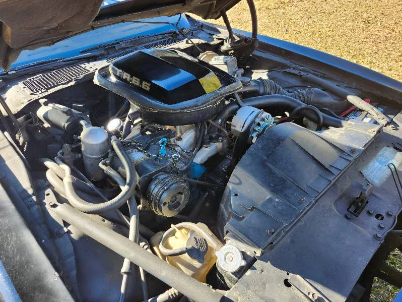 Pontiac-Trans-am-1977-Black-Beige-4