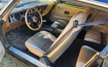 Pontiac-Trans-am-1977-Black-Beige-6