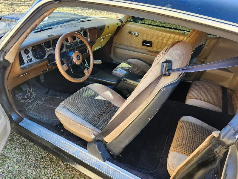 Pontiac-Trans-am-1977-Black-Beige-6
