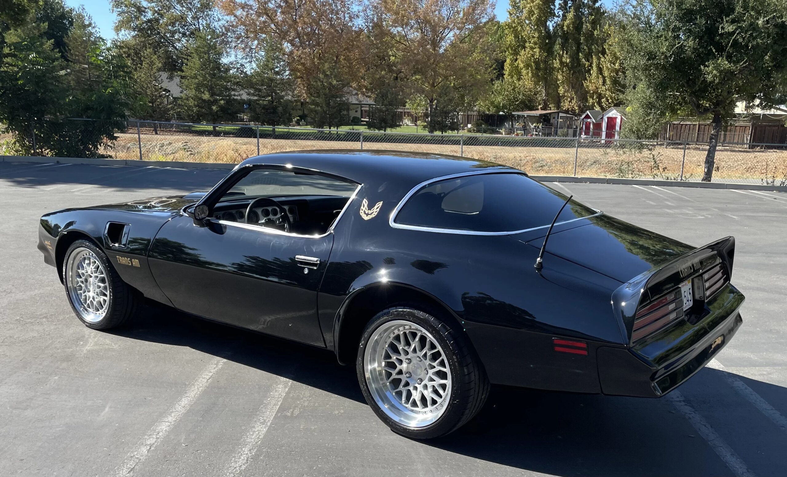 Pontiac-Trans-am-1977-Black-Black-13