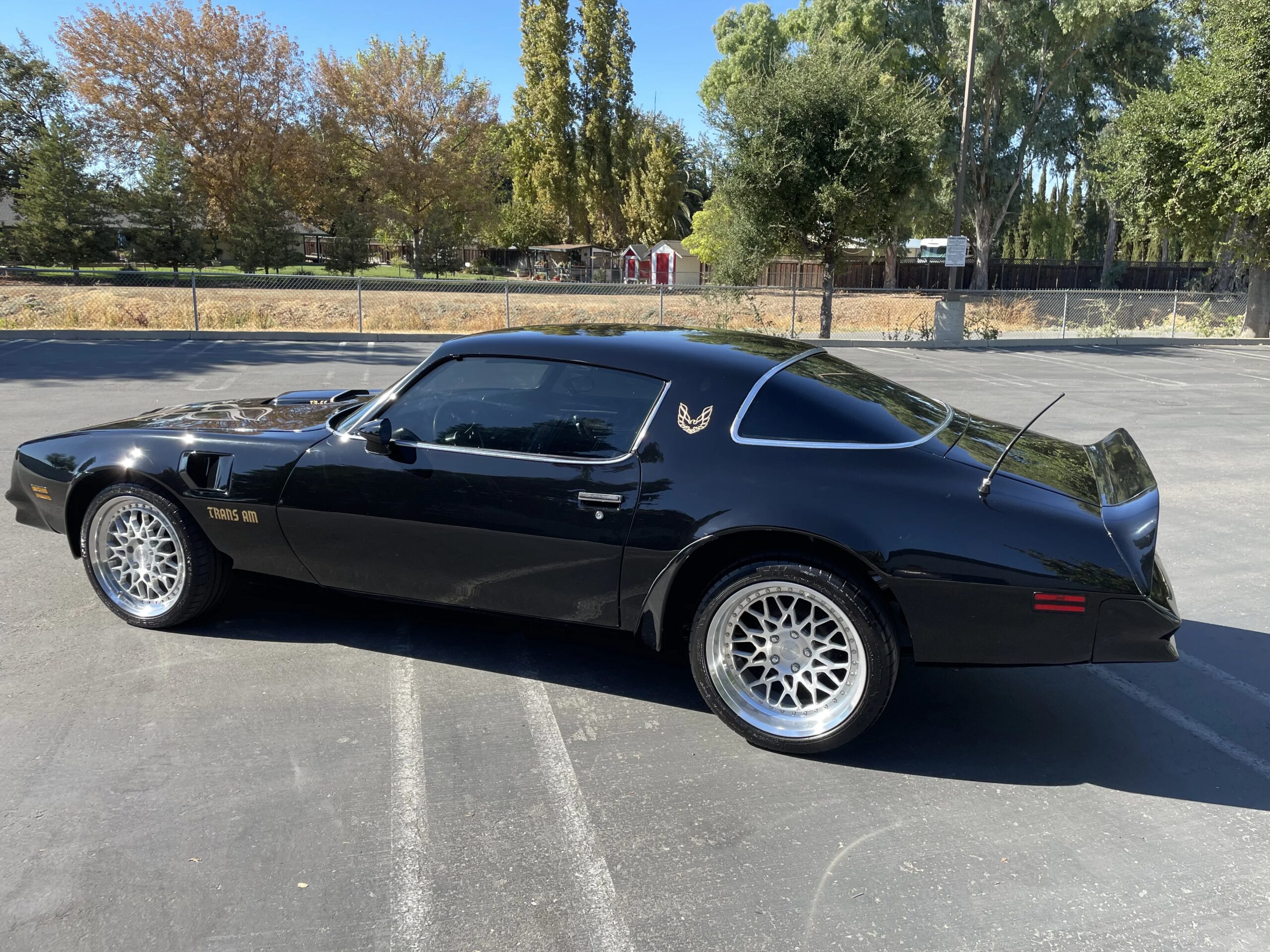 Pontiac-Trans-am-1977-Black-Black-21