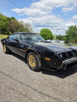 Pontiac-Trans-am-1979-Black-Black-1