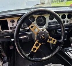 Pontiac-Trans-am-1979-Black-Black-6