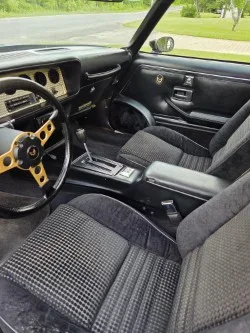 Pontiac-Trans-am-1979-Black-Black-8
