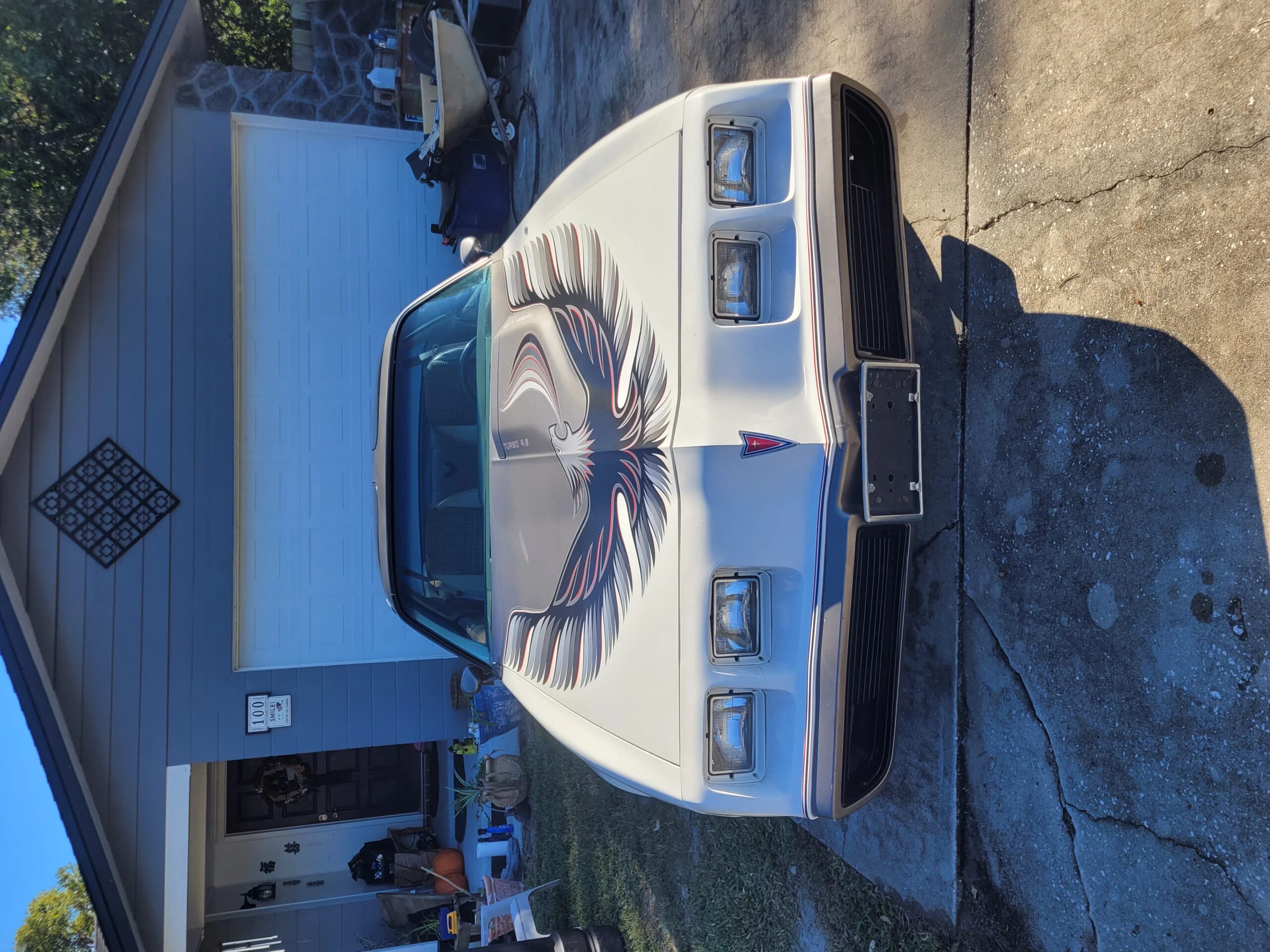 Pontiac-Trans-am-1980-Off-White-3