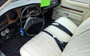 Pontiac-catalina-1976-green-2