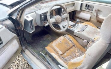 Pontiac-fiero-gt-pisa-artero-kit-car-1988-grey-10