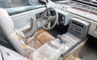 Pontiac-fiero-gt-pisa-artero-kit-car-1988-grey-4