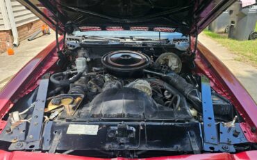 Pontiac-firebird-1975-red-20
