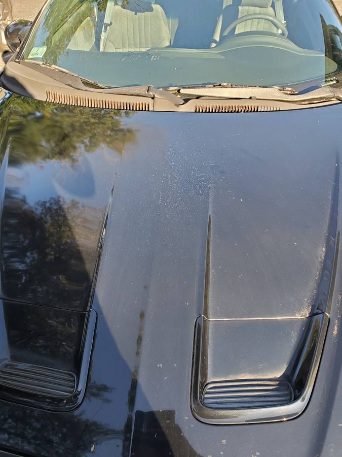 Pontiac-firebird-1995-black-4