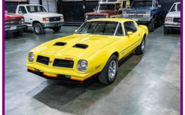 Pontiac-firebird-formula-1976-yellow-29