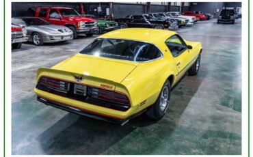 Pontiac-firebird-formula-1976-yellow-30