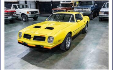 Pontiac-firebird-formula-1976-yellow-33