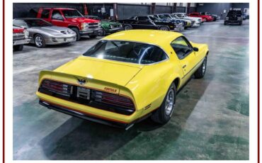 Pontiac-firebird-formula-1976-yellow-34