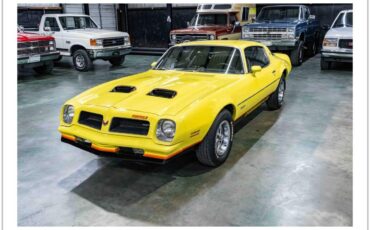 Pontiac-firebird-formula-1976-yellow-37