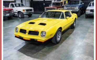 Pontiac-firebird-formula-1976-yellow-41