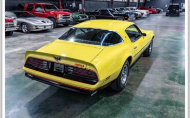 Pontiac-firebird-formula-1976-yellow-5