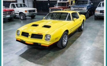 Pontiac-firebird-formula-1976-yellow-8