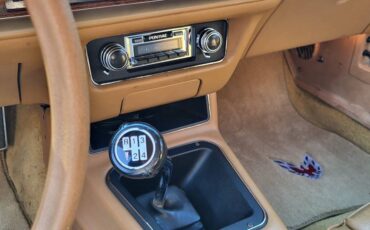 Pontiac-firebird-formula-1978-white-15