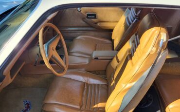 Pontiac-firebird-formula-1978-white-17
