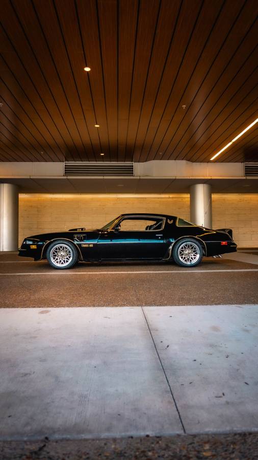 Pontiac-firebird-trans-am-1977-black-11