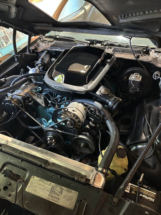 Pontiac-firebird-trans-am-1977-black-16