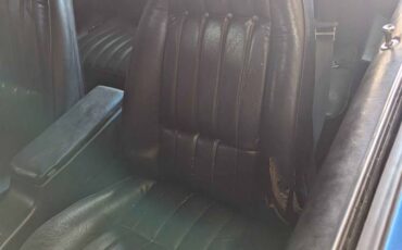 Pontiac-firebird-trans-am-1978-blue-5