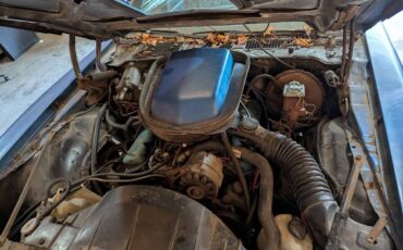 Pontiac-firebird-trans-am-1978-blue-6