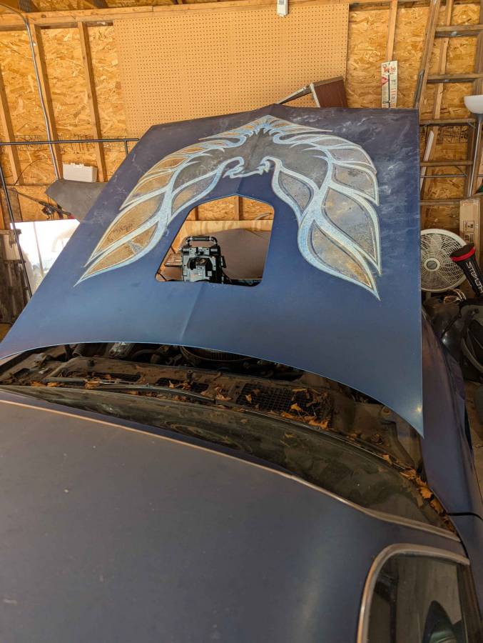 Pontiac-firebird-trans-am-1978-blue-7