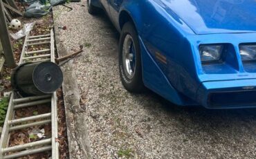 Pontiac-firebird-trans-am-1979-blue