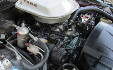 Pontiac-firebird-trans-am-1979-white-2