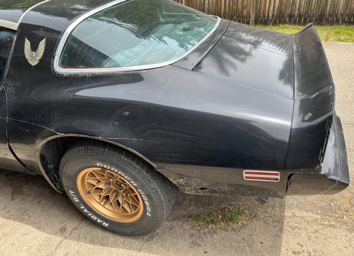 Pontiac-firebird-trans-am-1980-10