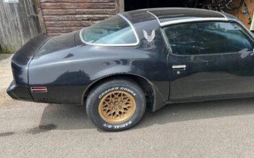 Pontiac-firebird-trans-am-1980-8