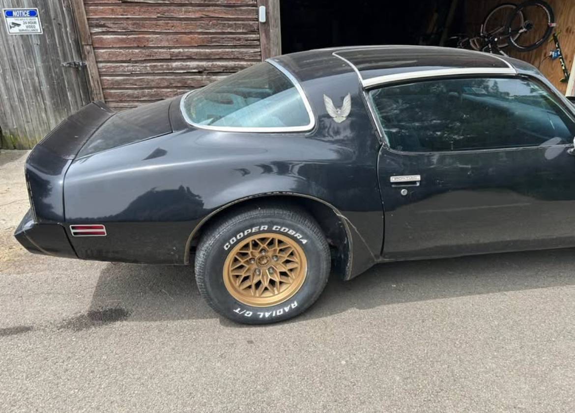 Pontiac-firebird-trans-am-1980-8