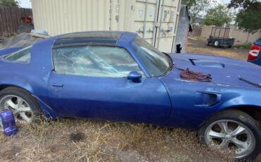 Pontiac-firebird-trans-am-1981-2