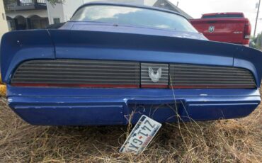 Pontiac-firebird-trans-am-1981-3