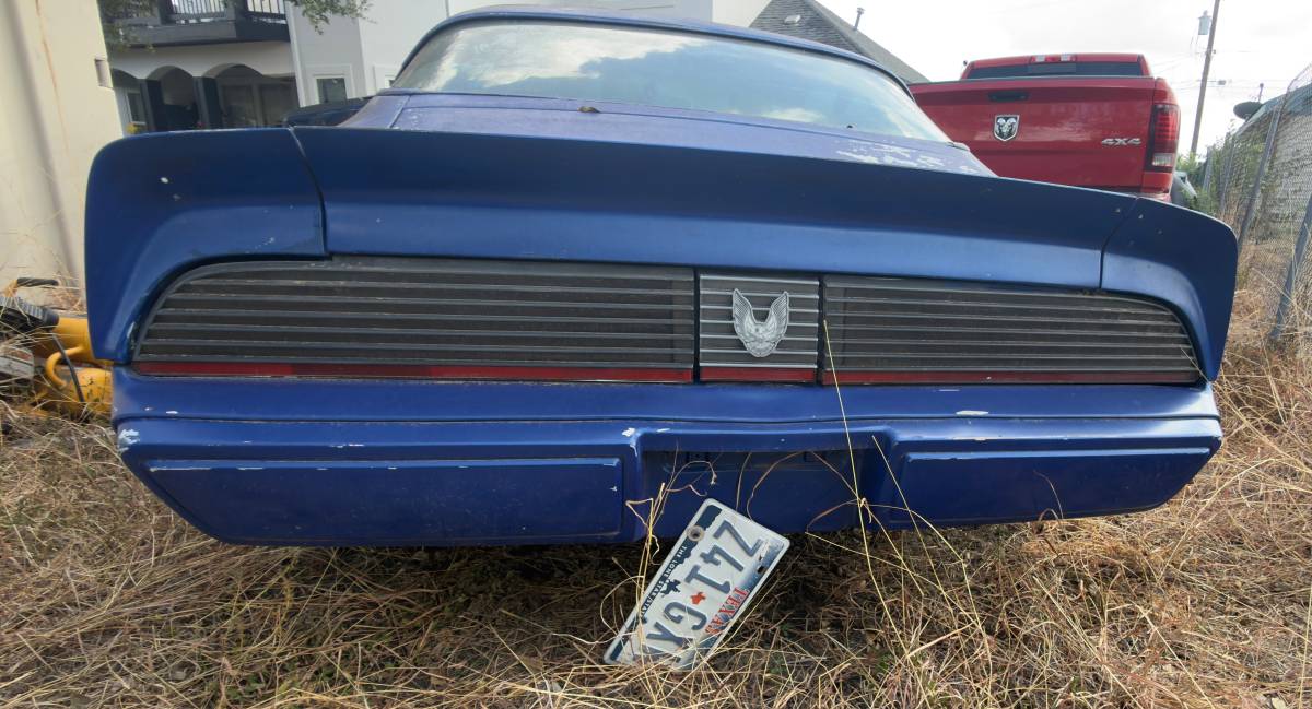 Pontiac-firebird-trans-am-1981-3