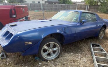 Pontiac-firebird-trans-am-1981