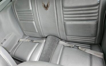 Pontiac-firebird-trans-am-ws6-1979-1