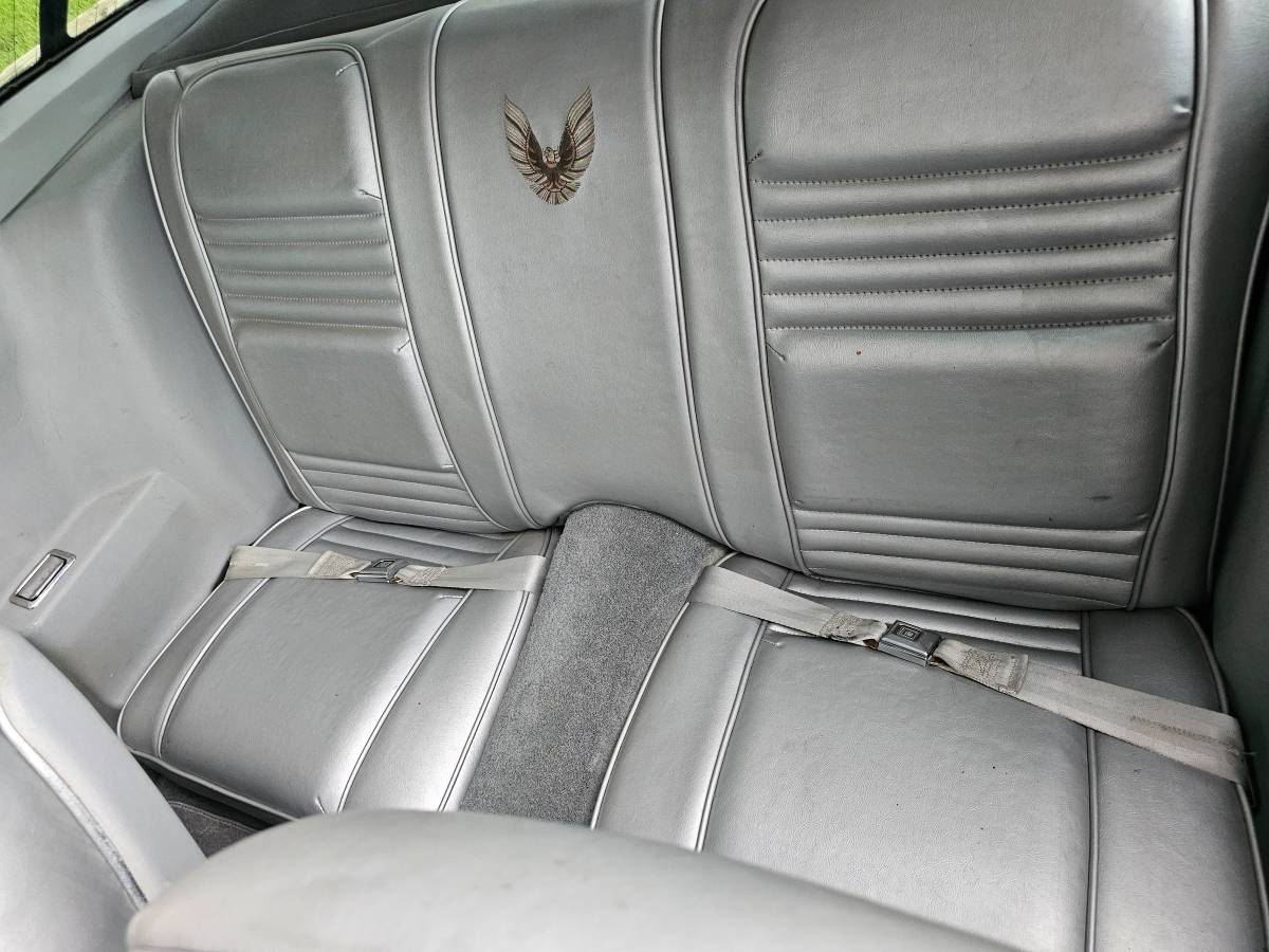 Pontiac-firebird-trans-am-ws6-1979-1