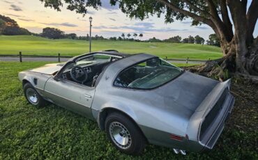 Pontiac-firebird-trans-am-ws6-1979-1