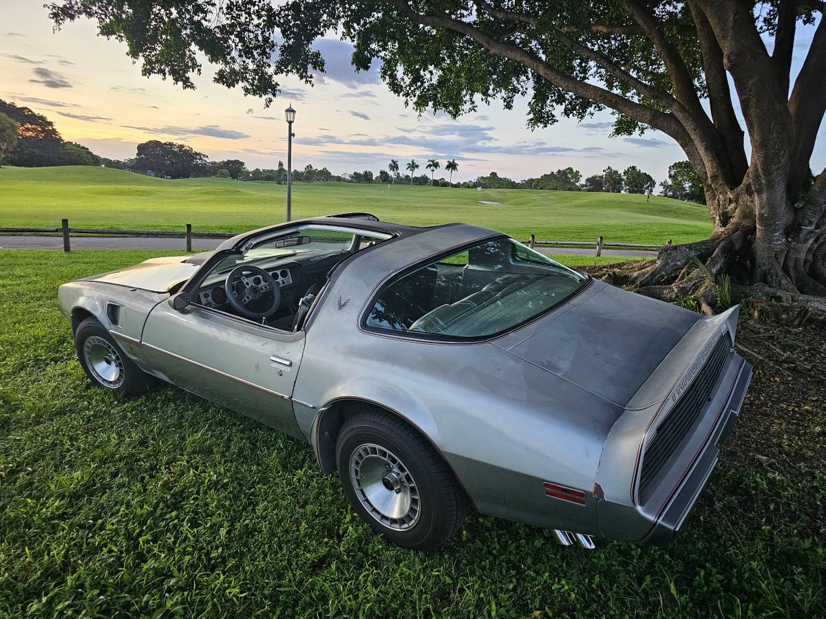 Pontiac-firebird-trans-am-ws6-1979-1