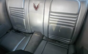 Pontiac-firebird-trans-am-ws6-1979-10