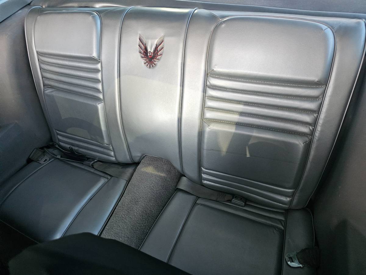 Pontiac-firebird-trans-am-ws6-1979-10