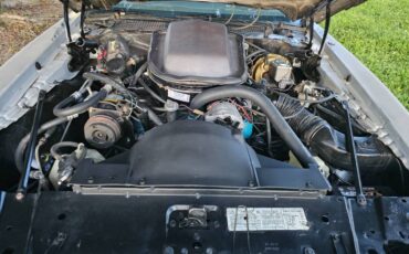 Pontiac-firebird-trans-am-ws6-1979-11