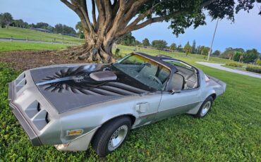 Pontiac-firebird-trans-am-ws6-1979