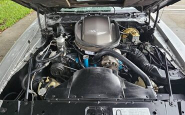 Pontiac-firebird-trans-am-ws6-1979-8