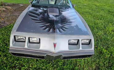 Pontiac-firebird-trans-am-ws6-1979-8